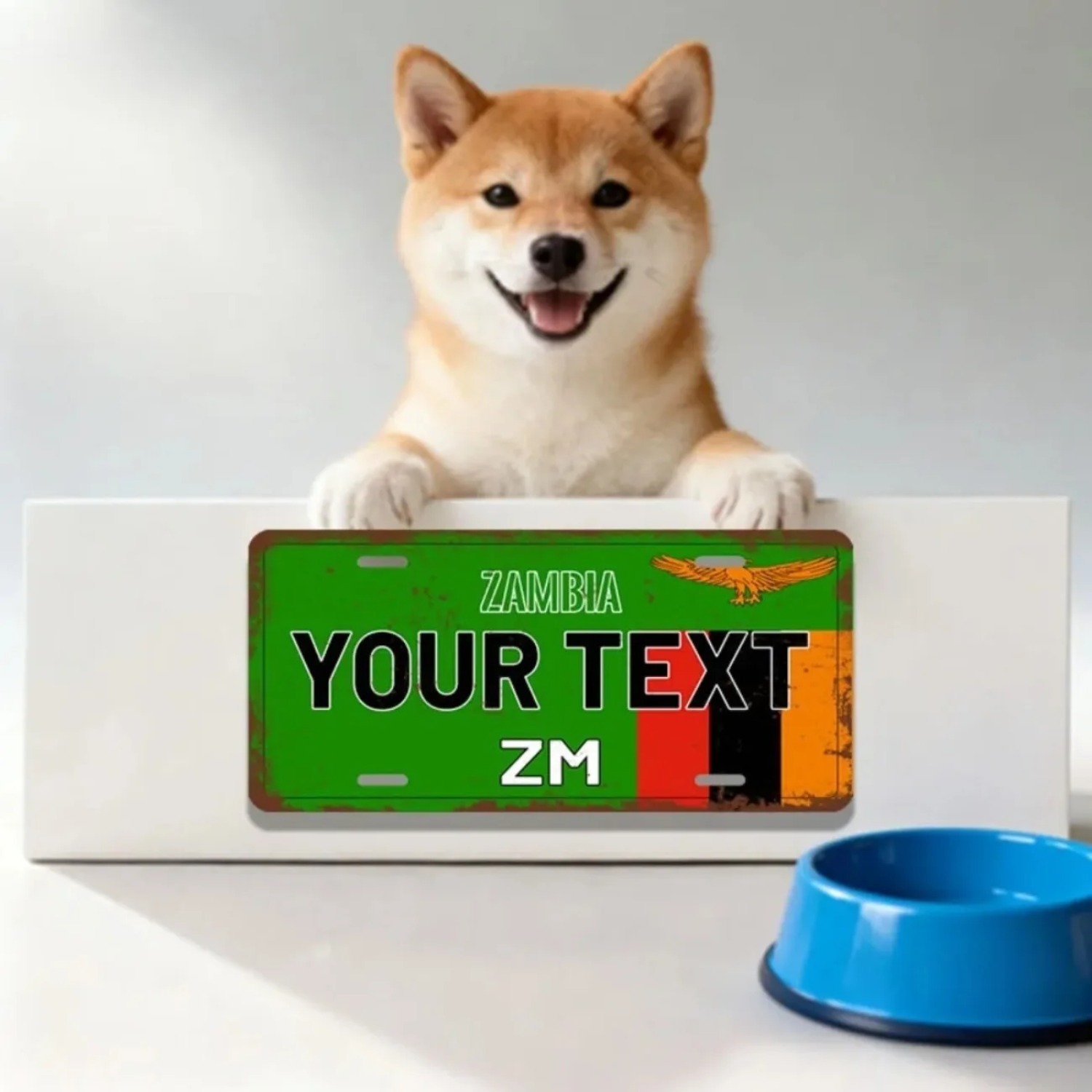 ป้ายอลูมิเนียมแซมเบียแบบปรับแต - Home Bar Signs บทวิจารณ์และราคา